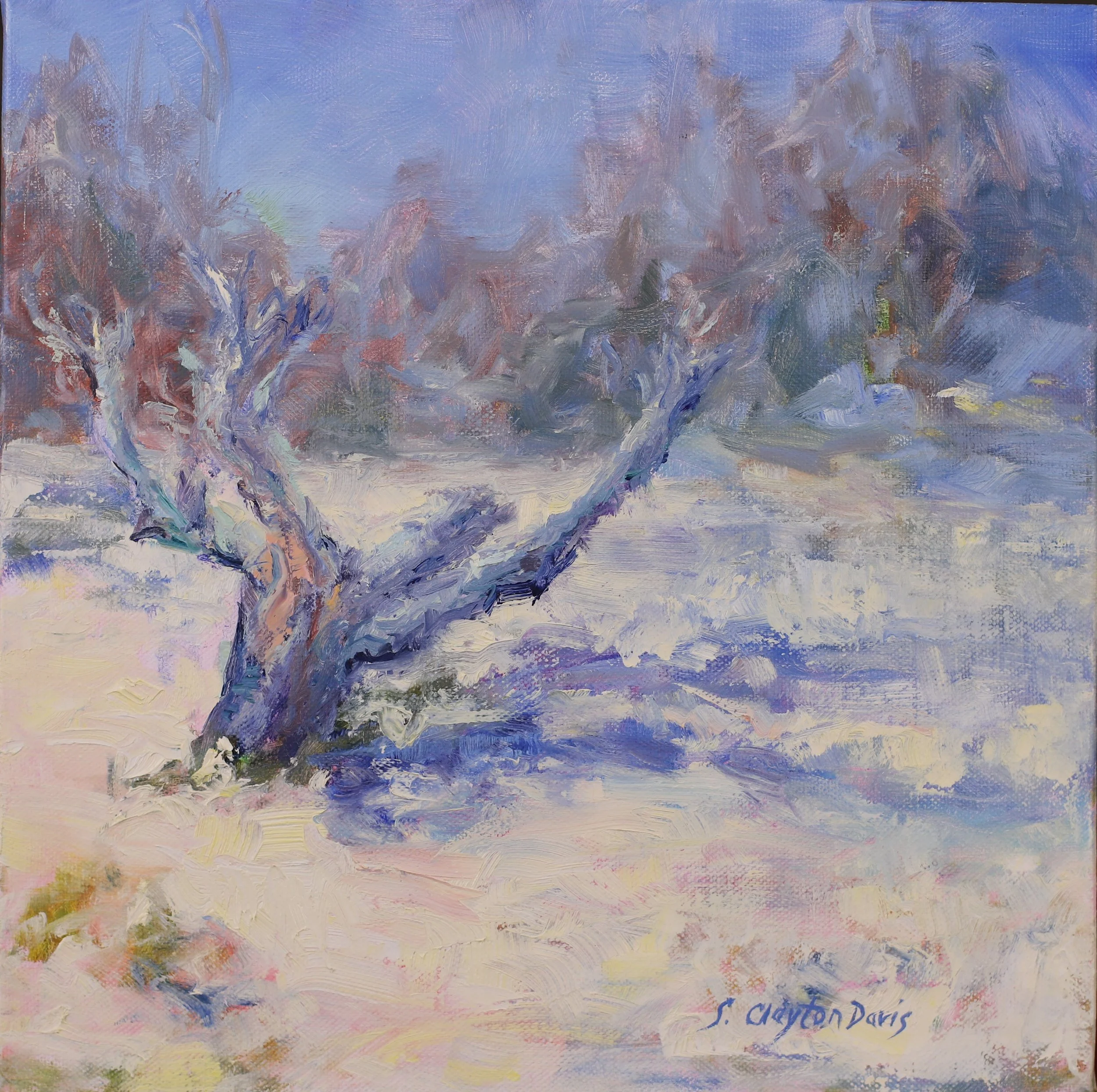 Quiet Snow Moment