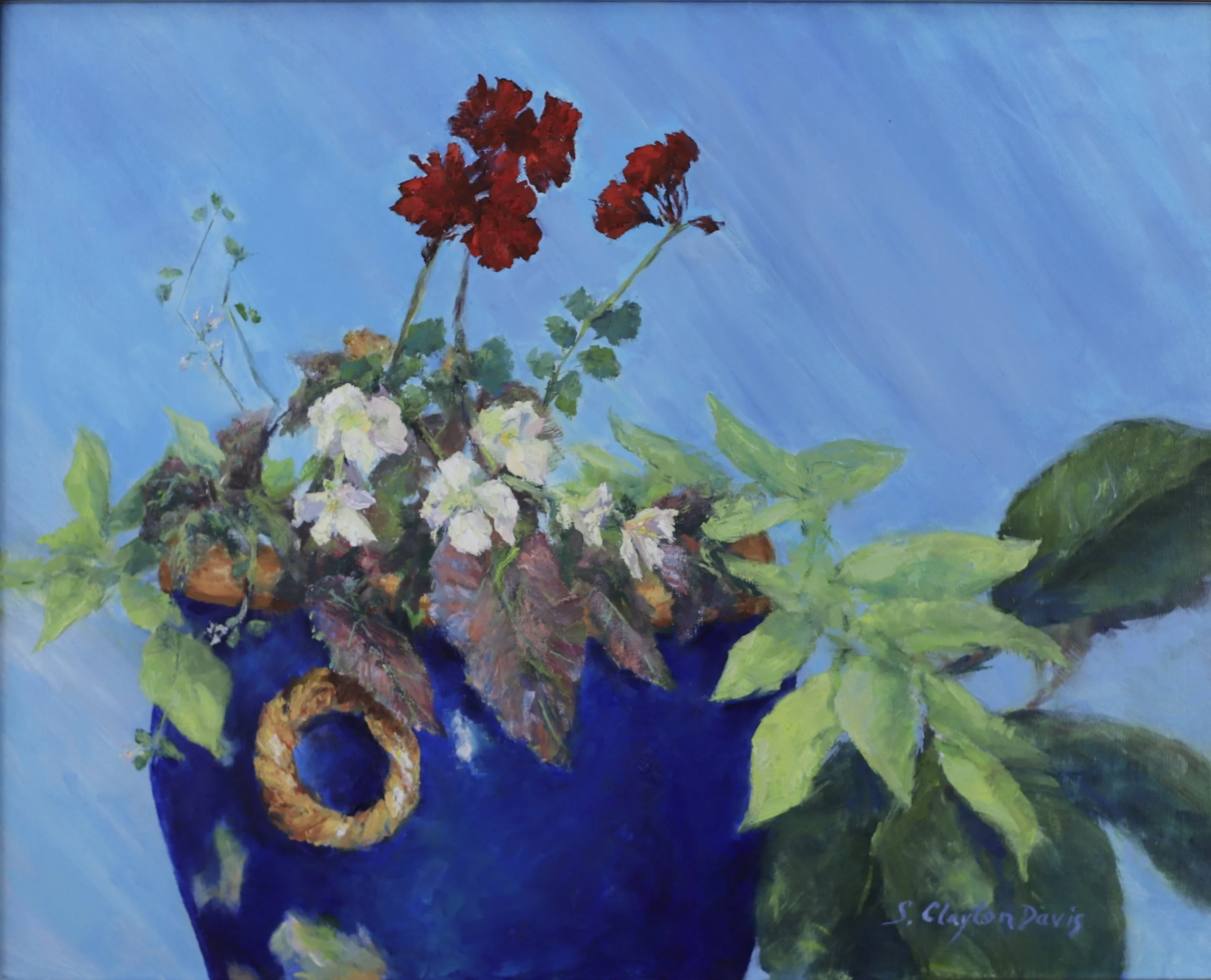 Geraniums with Blue Pot