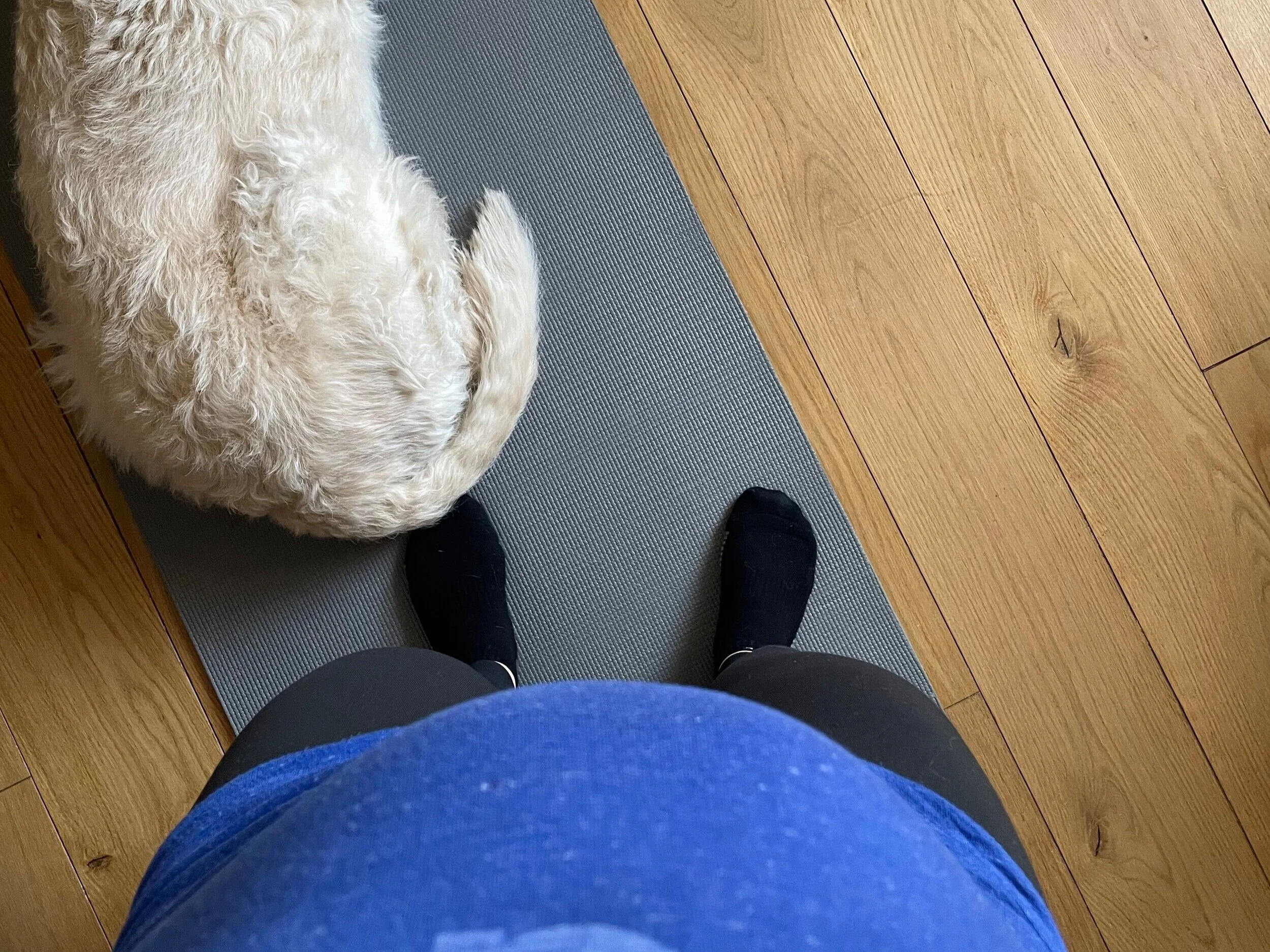 PREGNANCY DIARIES - THE SECOND TRIMESTER