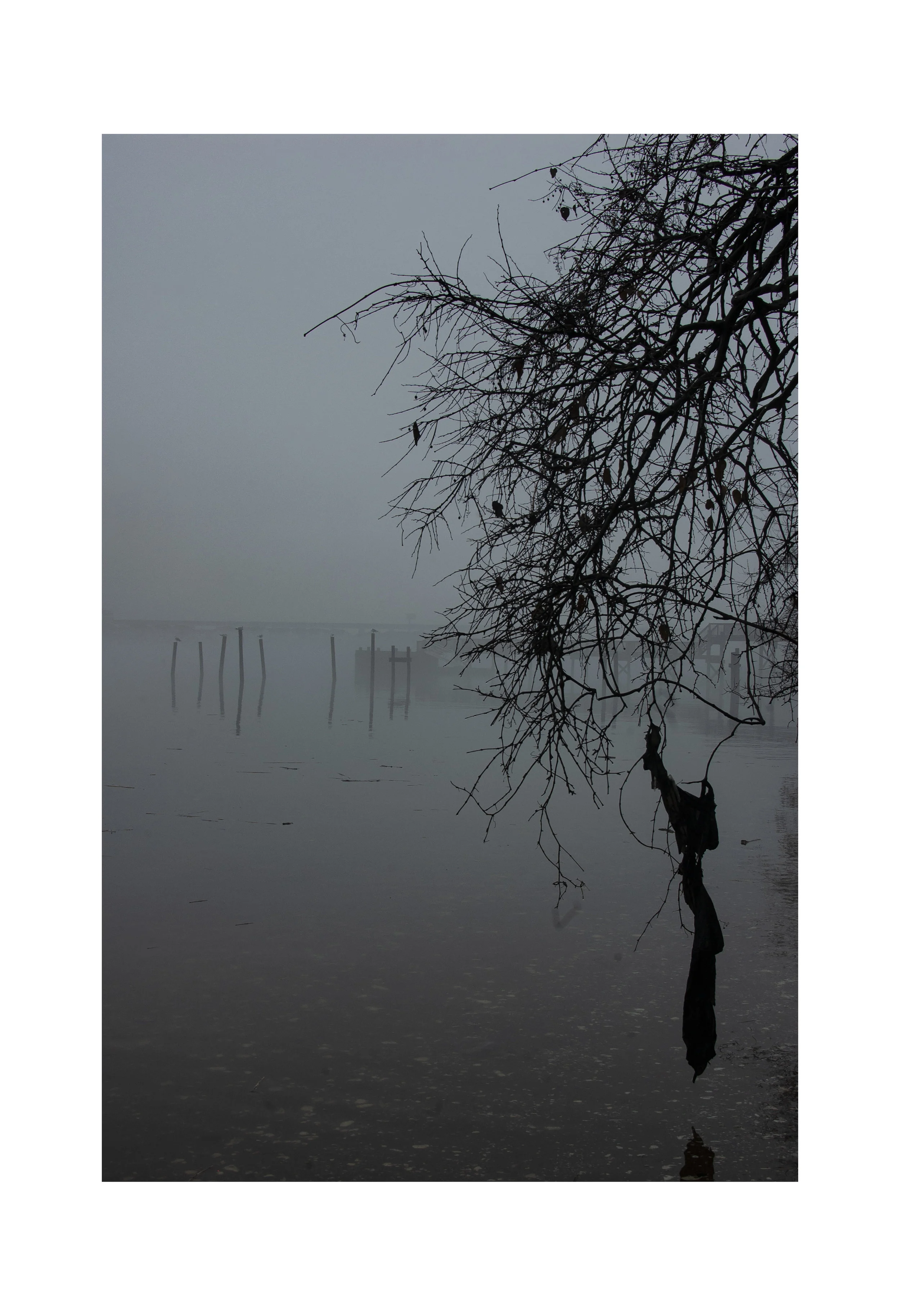 MMancini-FinalProject_28 copy.JPG