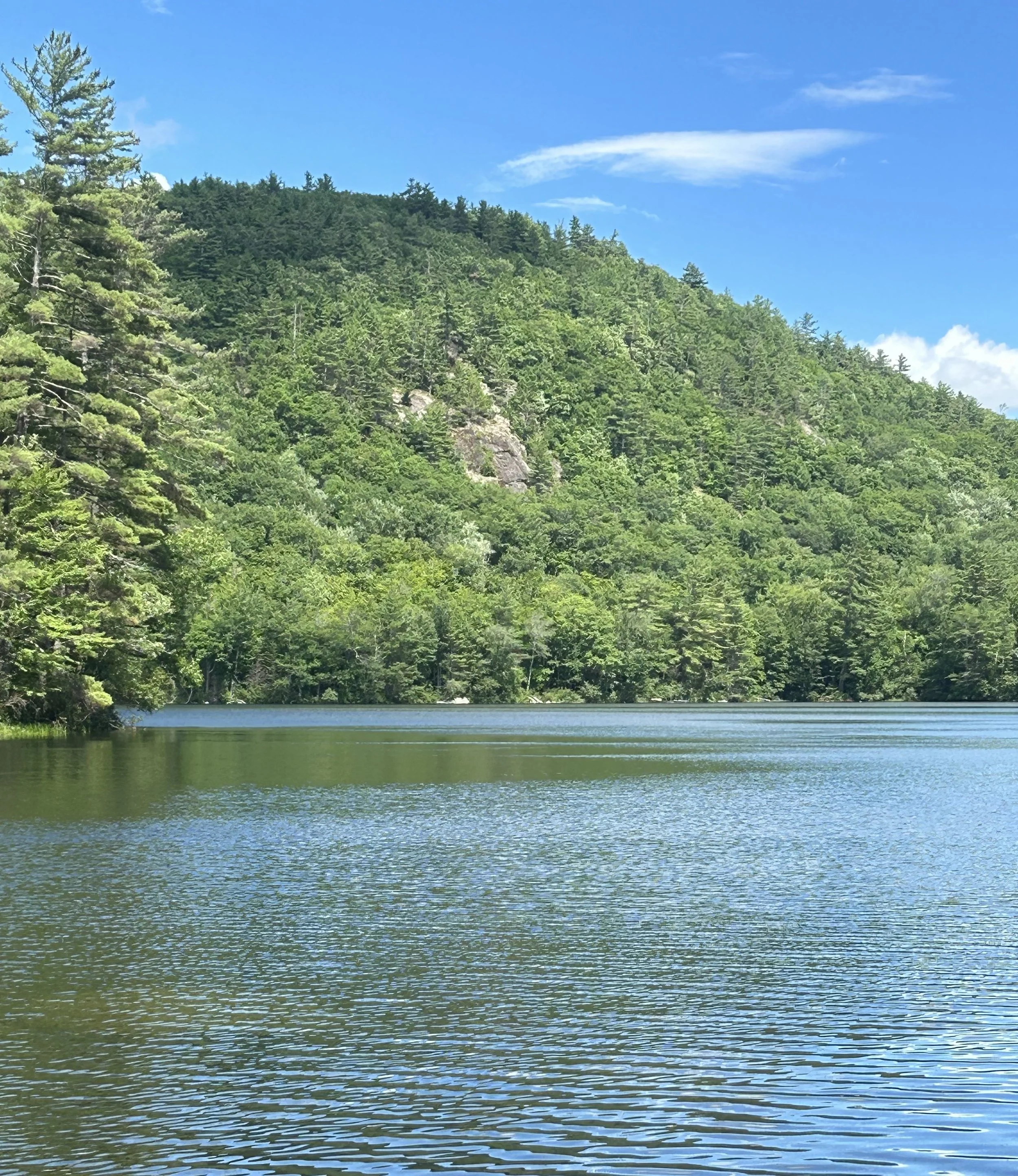 Forestry Activities in the Watershed