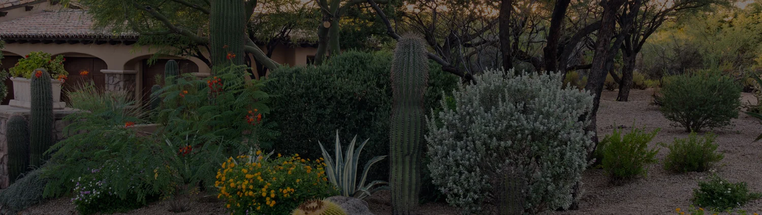 Your crew did a fabulous job with my request for changes and additions – the landscaping is looking great!