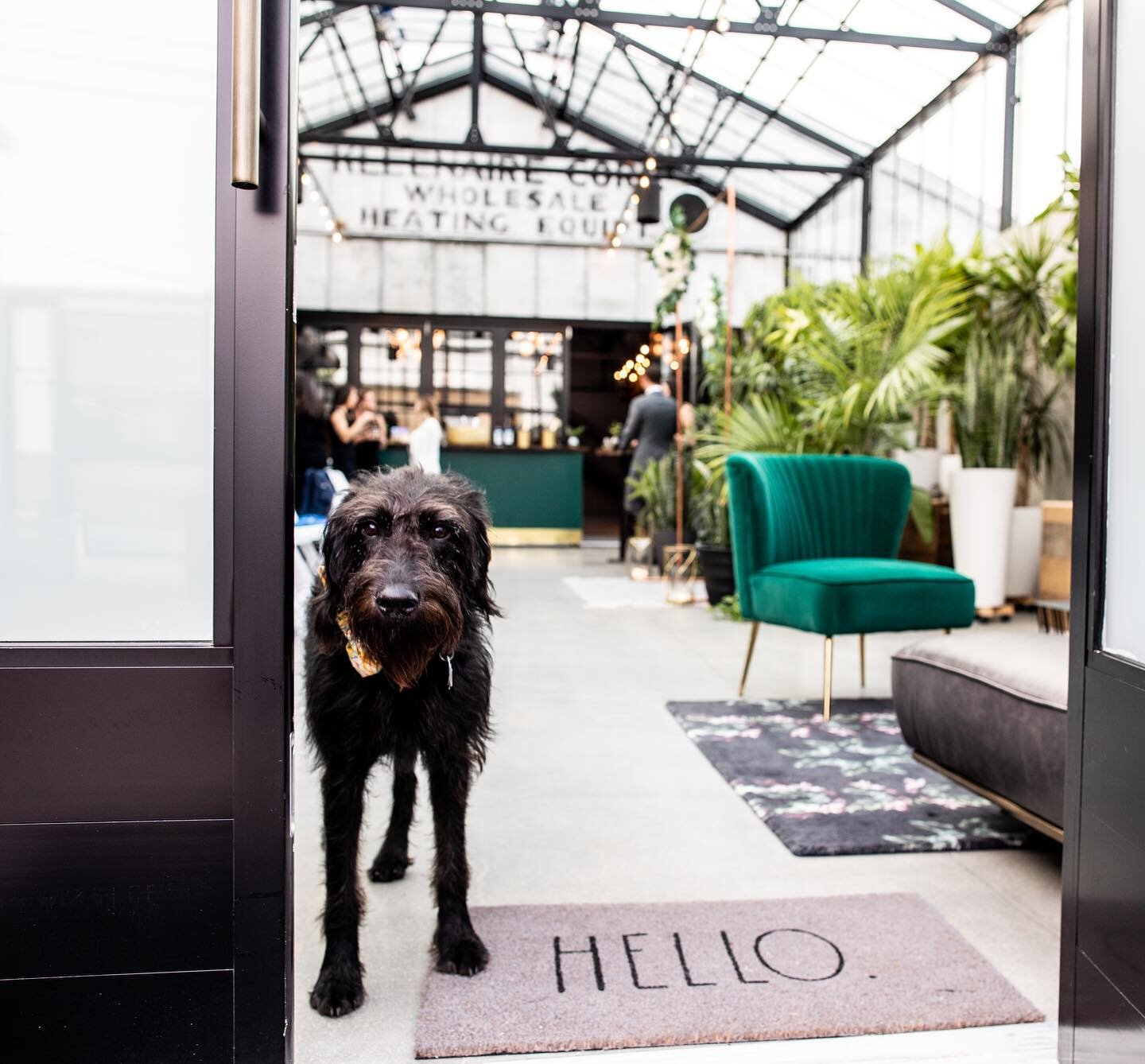 We love it when couples bring their pup with them to celebrate at The Tinsmith! This is Pickles, greeting guests as they arrive. 🥰🐶 📸: @maureenmcassidy