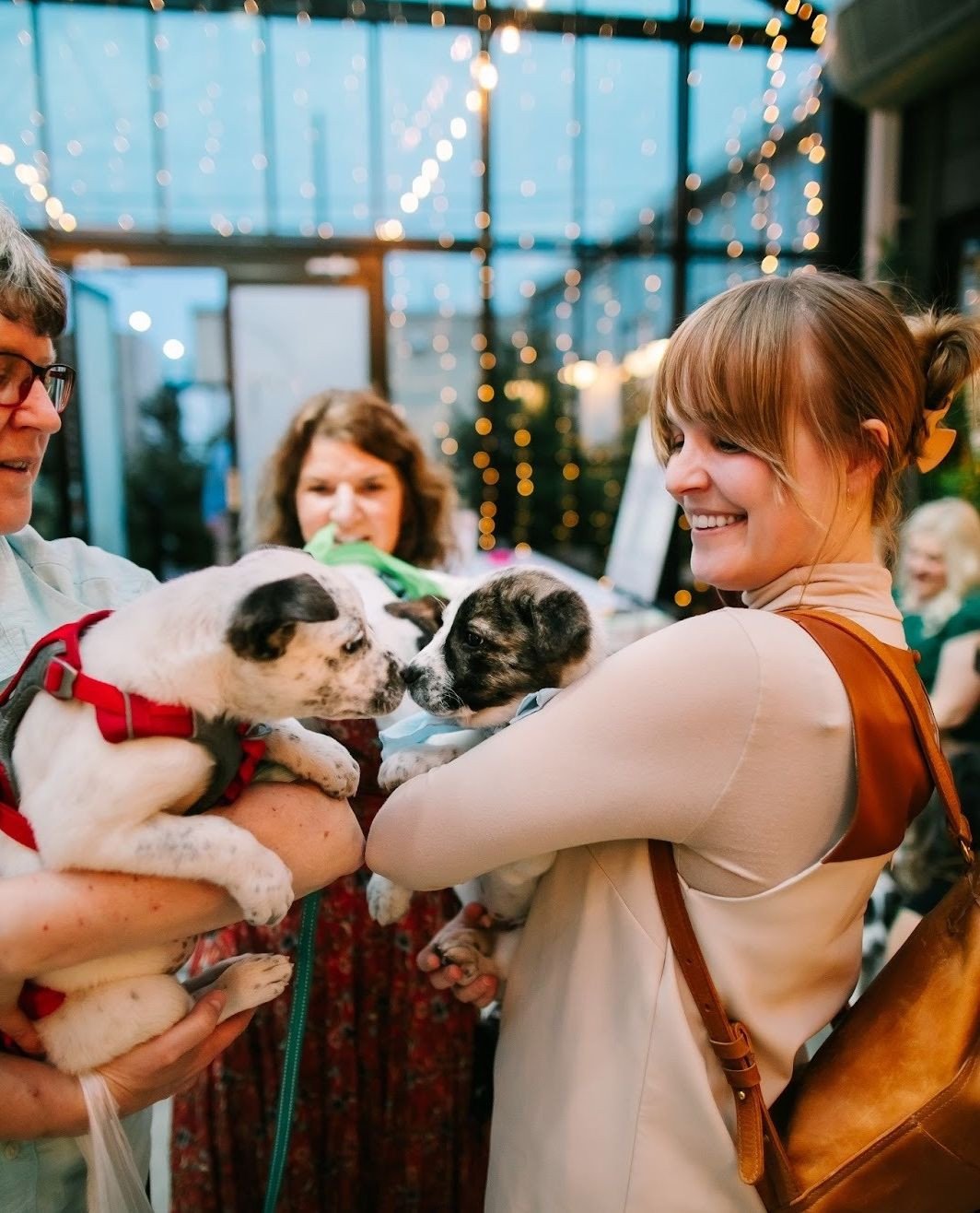It&rsquo;s that time of year again!  Do a little good and join us at the Tinsmith on Friday, April 10th for Underdog Pet Rescue&rsquo;s annual Wags &amp; Whiskers Fundraiser.  We look forward to this one every year (and it&rsquo;s easy to see why). T
