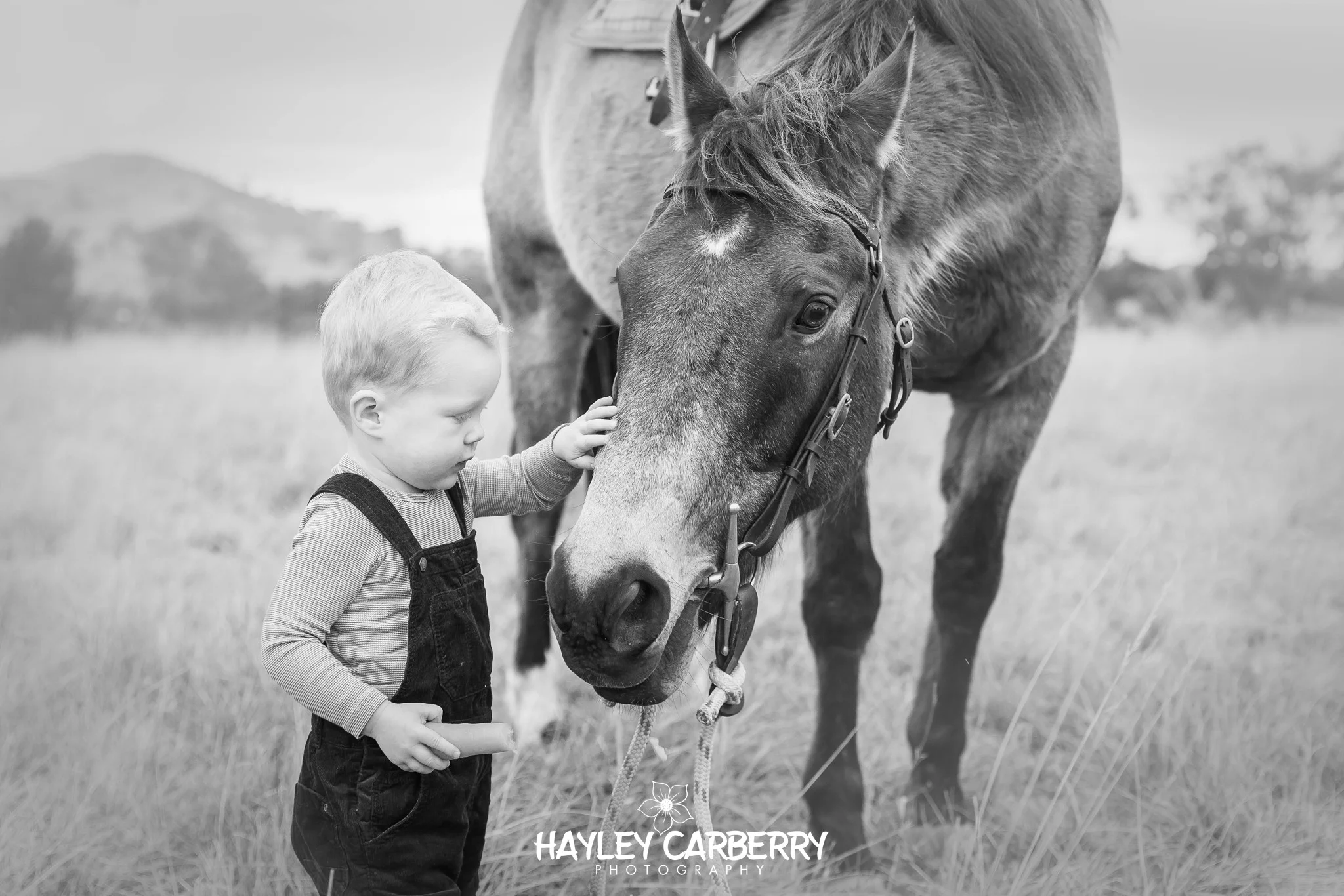 CanberraFamilyBabyPortraitChildrenPhotographer282of1329_WEB.jpg