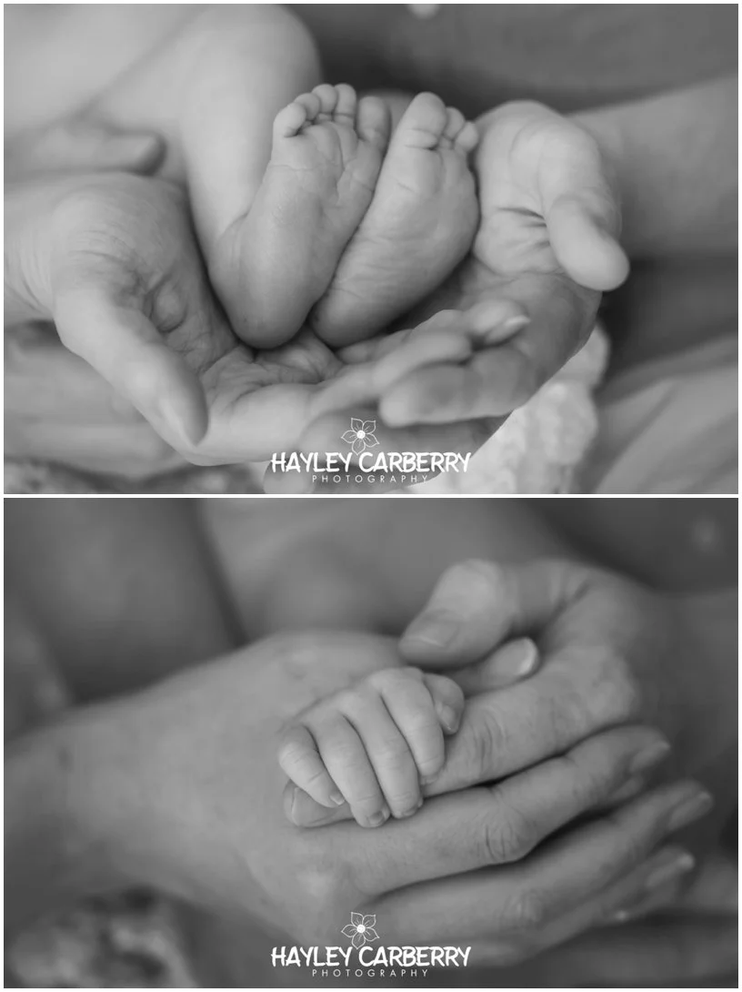 CanberraNewbornPhotographer-7_WEB.jpg