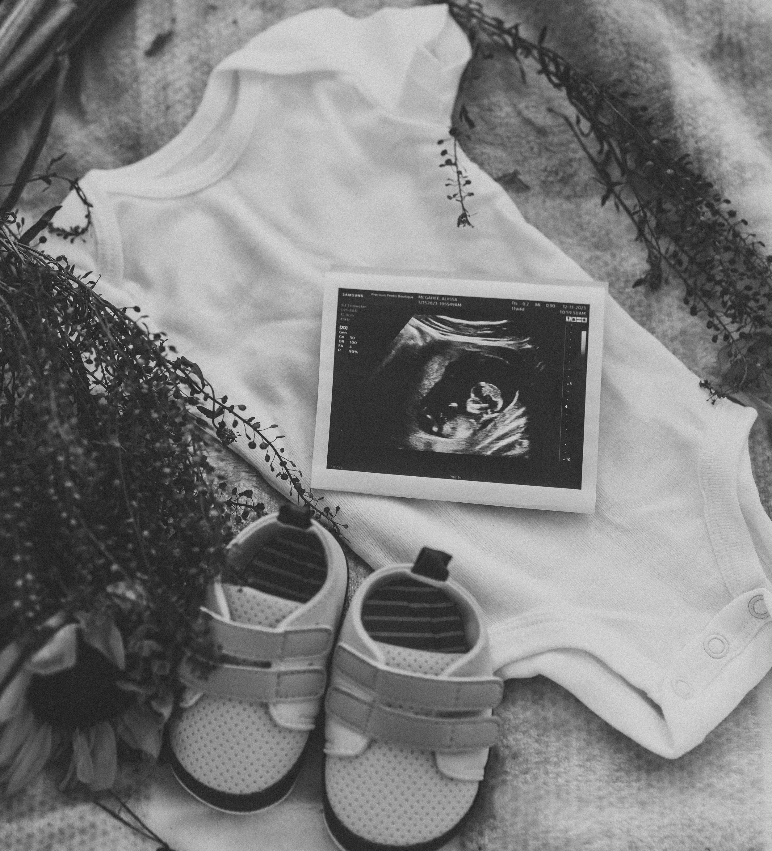 SONY ILCE-7M4 7040x4688_000412.jpg