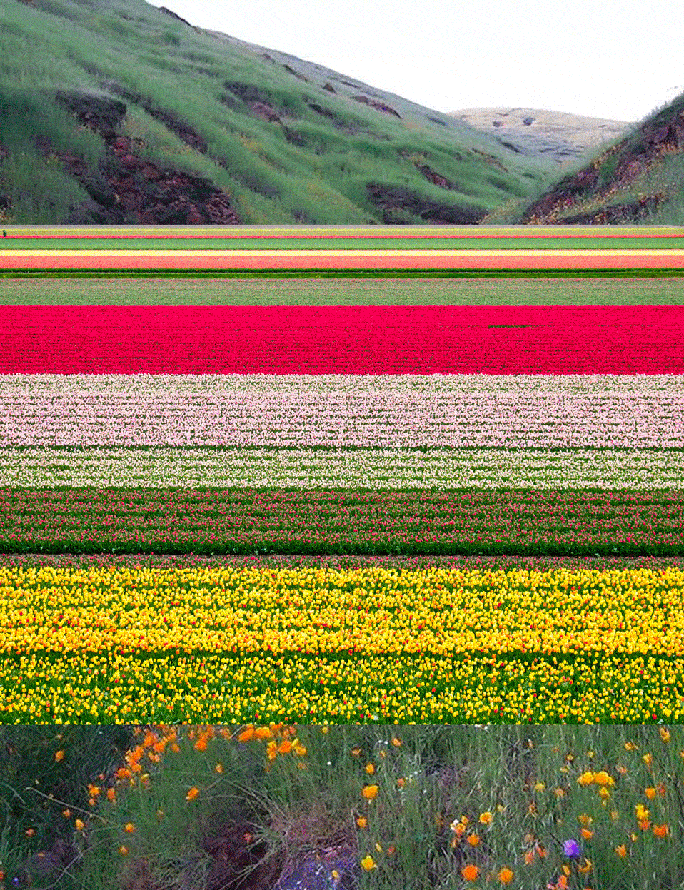 ezgif.com-optimize (1).gif