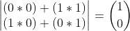 Matrix representations of quantum logic gates — Quantum Computing UK