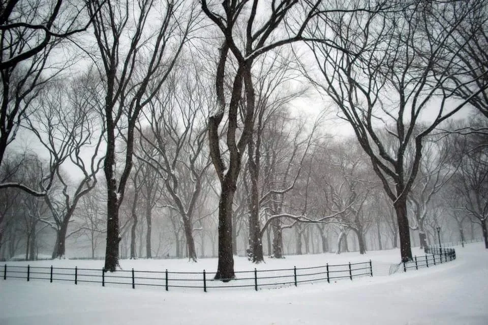 white blanket | central park, nyc (2013)