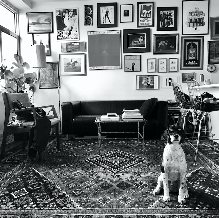 dog days | brooklyn, ny (2019)