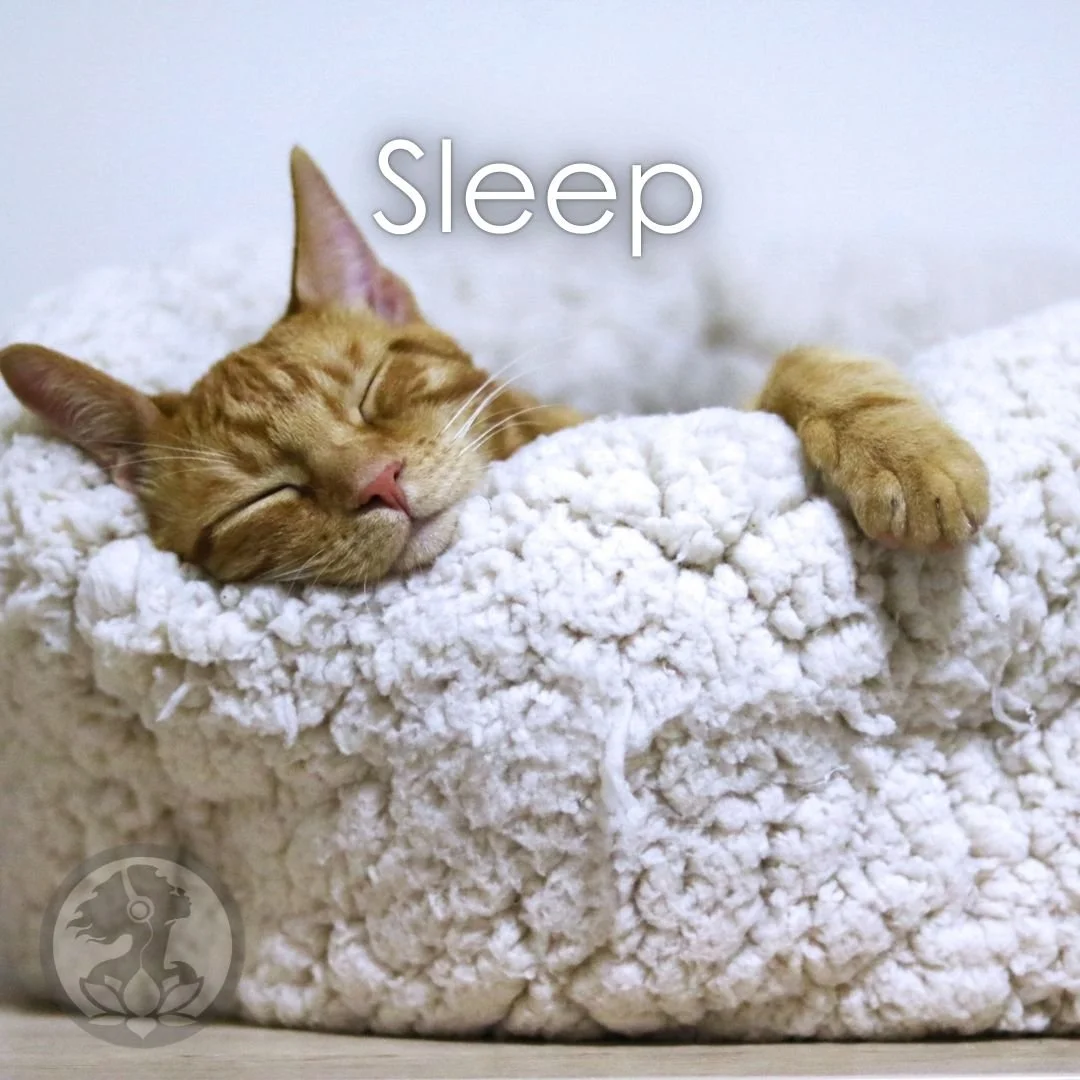 sleep cover.jpg