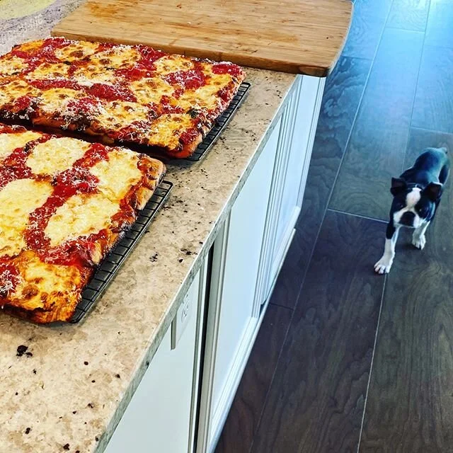 Frankie peeping my Nana Pies ... don’t worry @sweetesony @knolan777 @sunsideofthmoon @rahduke2 she didn’t touch them and they are in route for celebration.