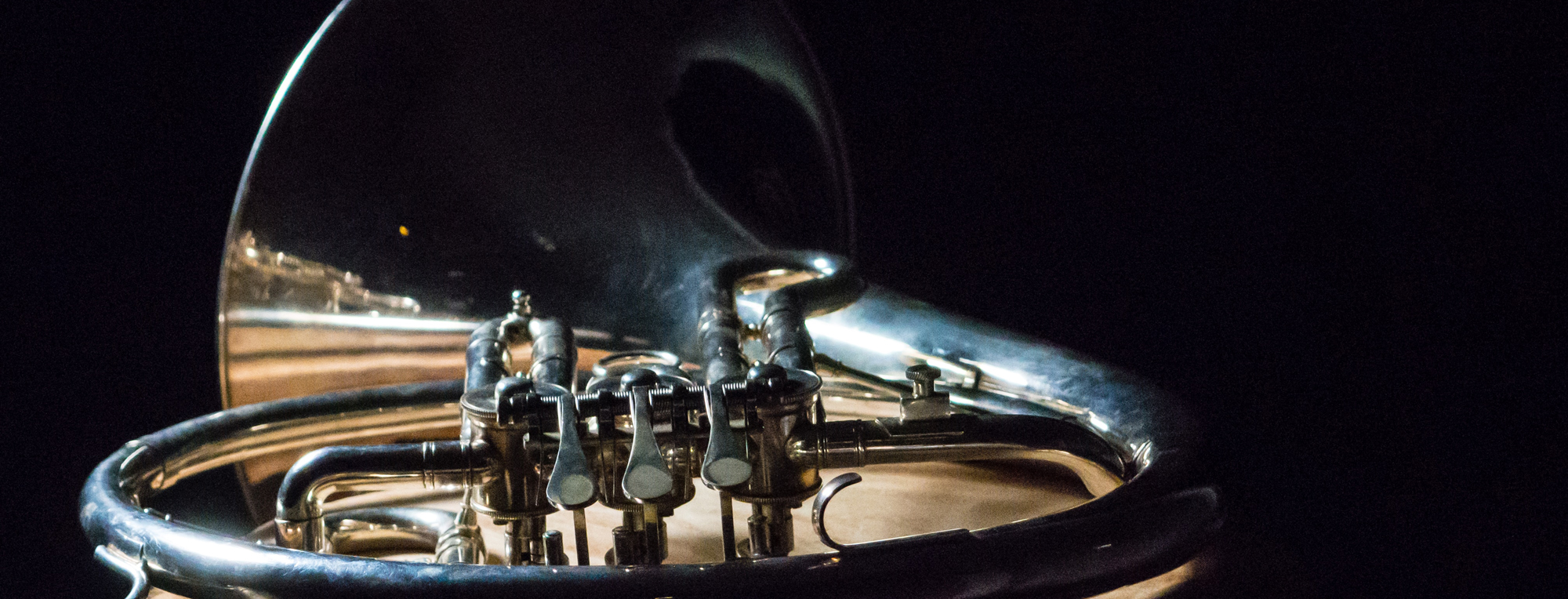 horn-unsplash.jpg