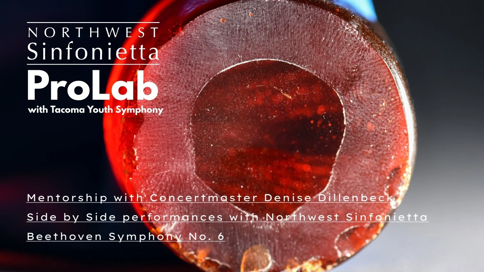 ProLab Mentorship Program with TYSA