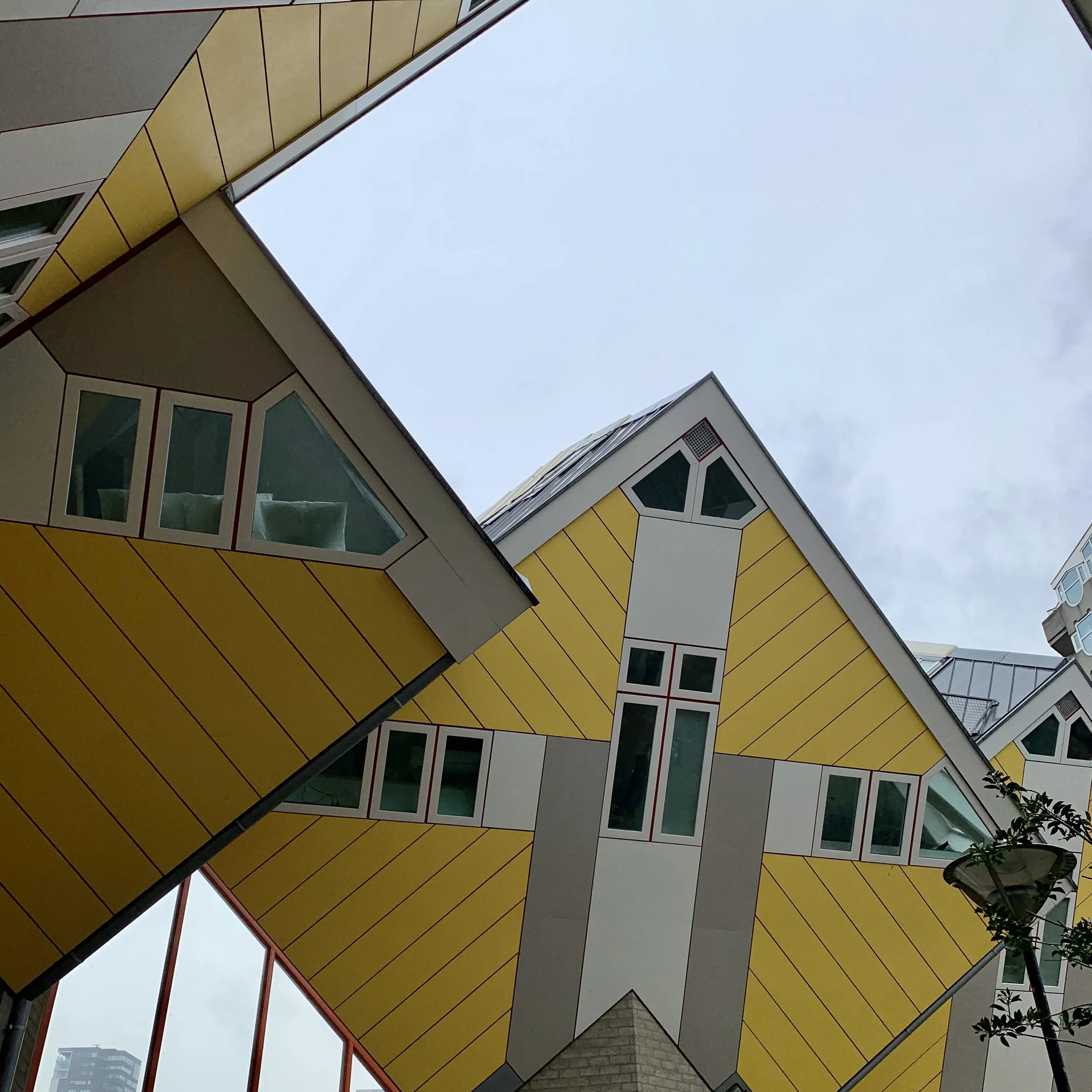 Day Trips: Things to do in Rotterdam