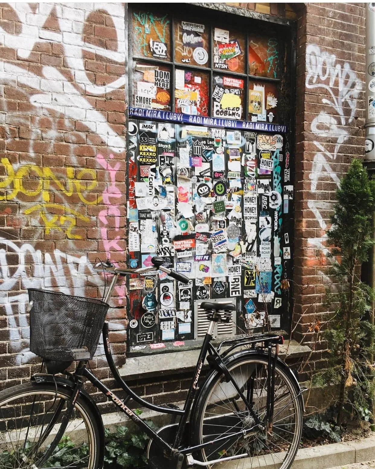 What to Expect when Moving to Amsterdam