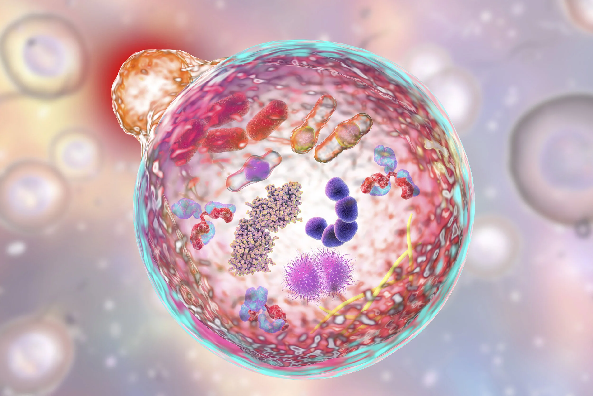 Scientists Discover How Beta Blockers Can Cause Skin Inflammation