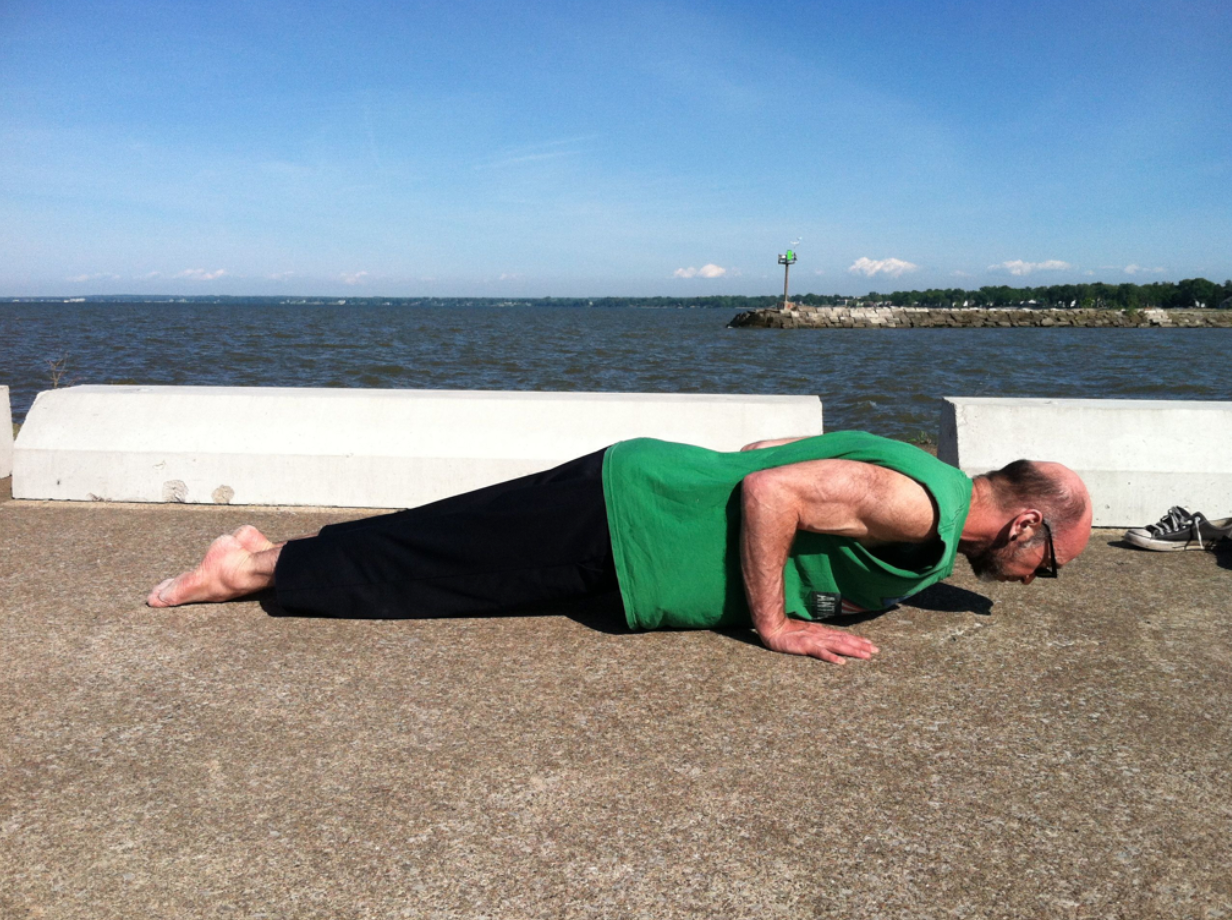 Featured Pose: Chaturanga Dandasana — owy