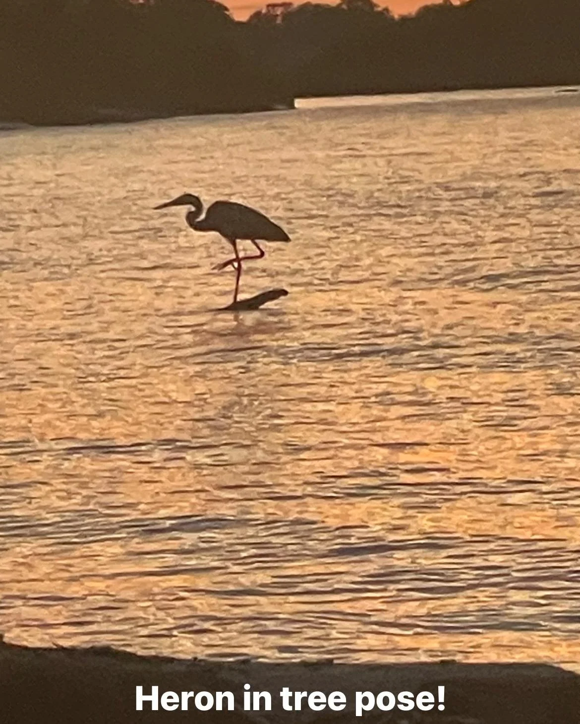 🍁 AS THE SEASON CHANGES, SO CAN YOU 🍁

There&rsquo;s something about fall that invites us inward. The cooling air. The shorter days. The gentle reminder that rest and renewal are part of the cycle.

What if this season, instead of pushing harder, y