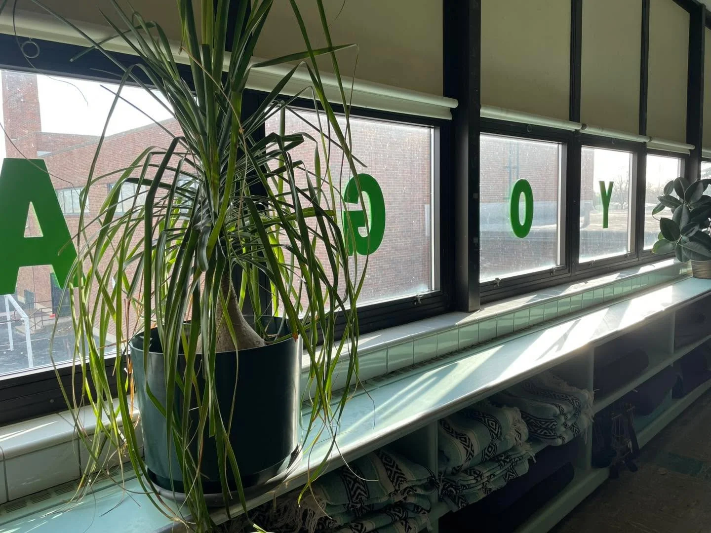 MYTH: &ldquo;I&rsquo;m too stiff to do yoga.&rdquo;

REALITY: That&rsquo;s literally like saying &ldquo;I&rsquo;m too dirty to take a shower.&rdquo;

Yoga isn&rsquo;t a flexibility competition. There&rsquo;s no test at the door. Nobody&rsquo;s judgin