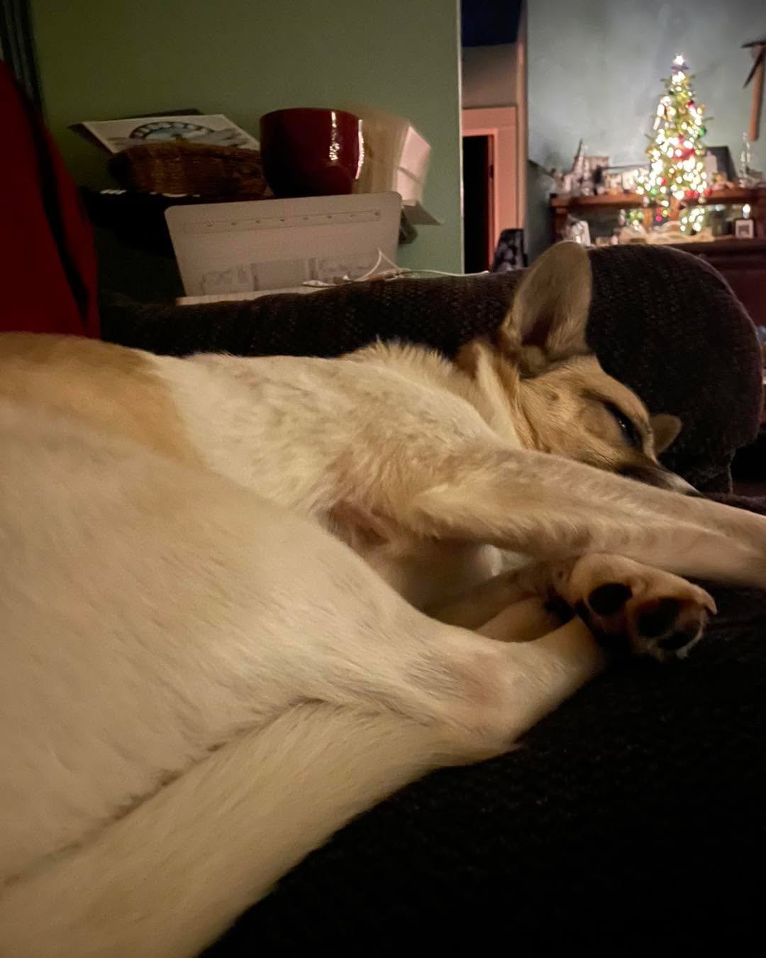 Wishing you a cozy and silent night.
Happy holidays from all of us at OWY!