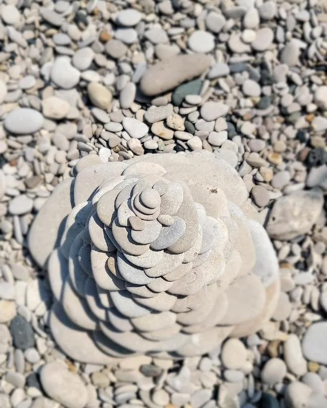 Ready to begin?  Join us at OWY Huron for a 4 week Beginner&rsquo;s Workshop starting January 11th.  Register here:  https://openwayyoga.com/upcoming/foundations-beginners-yoga-workshop