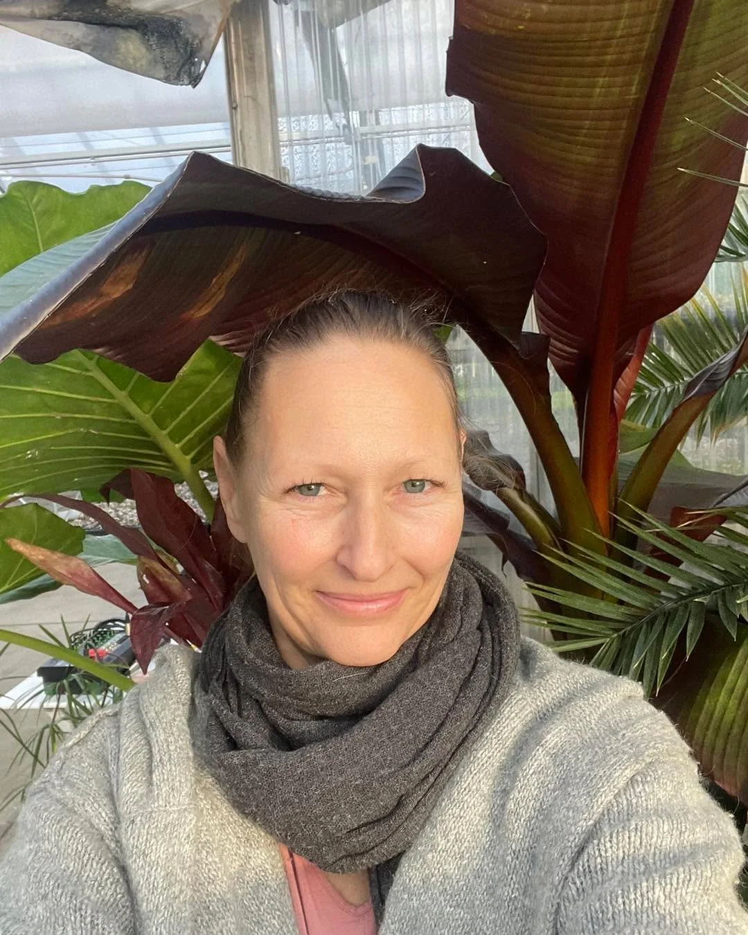 Breathe Green Air!
Come see us through February for Greenhouse Yoga.  Warm humid air, surrounded by the vibrant plants  that make our city so beautiful in the summer.

Wednesdays at 6p - Nicole
Sunrise Saturdays at 7a - Shannon

OWY unlimited members