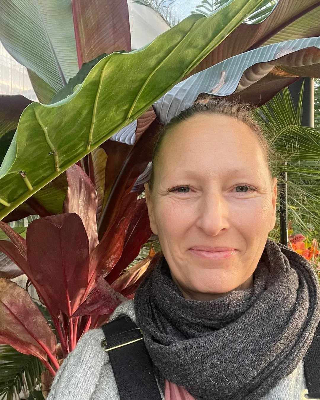 Saturday Sunrise Yoga at The Sandusky Greenhouse!
Come see me tomorrow at 7:00am for an all-levels practice in the warm green air.
OWY unlimited members can attend on your yoga pass.  Drop-ins are $10.

601 Franklin St., Sandusky