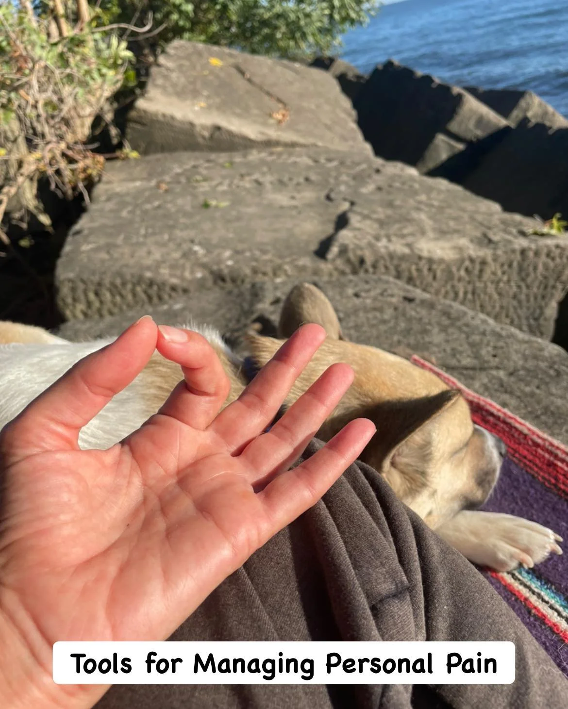 Tomorrow!
Chronic pain. Emotional pain. The kind of pain that lives in your body but doesn&rsquo;t respond to stretching or medication alone.

If you&rsquo;ve been living with pain that feels bigger than just physical, this workshop is for you.

We&r