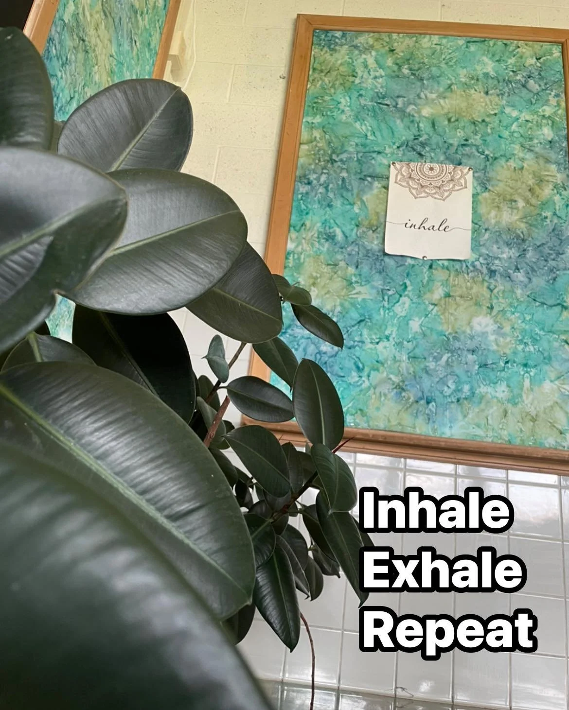 Inhale. Exhale. Repeat.
Fresh spring air makes you want to take a deep breath. But not everyone can.

Some of us have shallow breathing patterns from years of stress. Others have trauma responses that keep breath feeling stuck in your chest or lung c