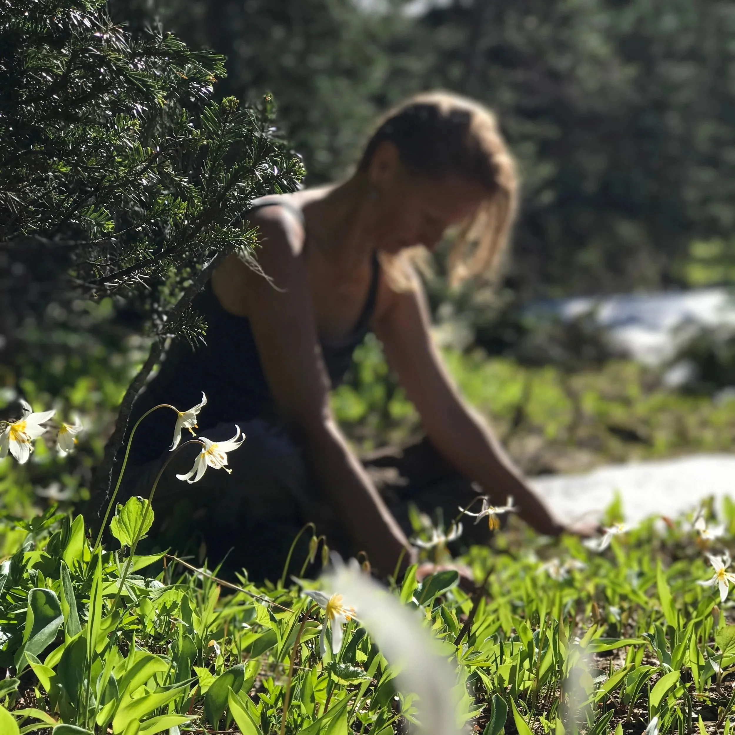 Plant Wisdom Yoga + Bach Flower Essence  Workshop