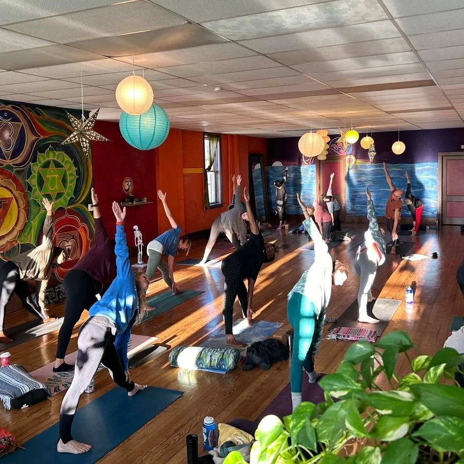 You Don&rsquo;t Need to Be Advanced!

You just need to be interested in learning more about yoga to take part in OWY&rsquo;s 200 hour yoga immersion and teacher training.

You need to be someone who wants to go deeper. Who&rsquo;s interested in heali