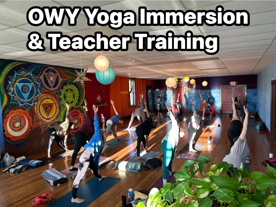 Immerse yourself, learn to teach with OWY&rsquo;s 200 hr yoga immersion and teacher training!

Extra early registration ends May 31st.  Save $500 and begin collecting your class hours by registering now.

Full details at: https://openwayyoga.com/200-