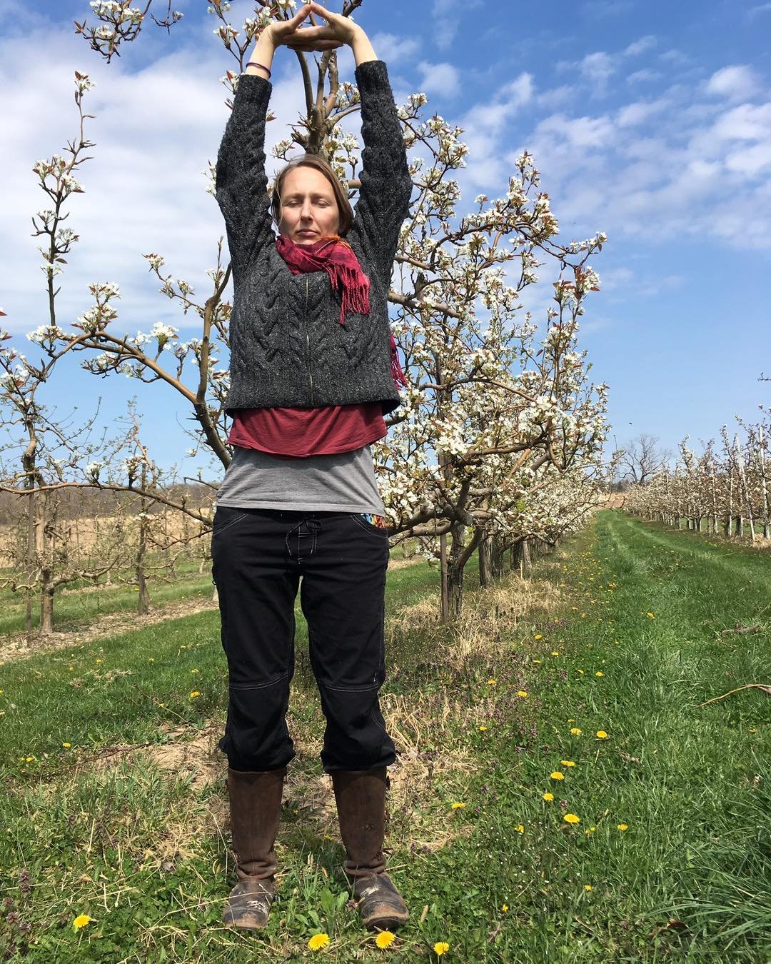 Yoga Meets Plant Medicine

This isn&rsquo;t your regular yoga workshop! We&rsquo;re blending plant-inspired movement with the healing wisdom of Bach Flower Essences.

You&rsquo;ll learn how specific flowers address negative emotional states (anxiety,