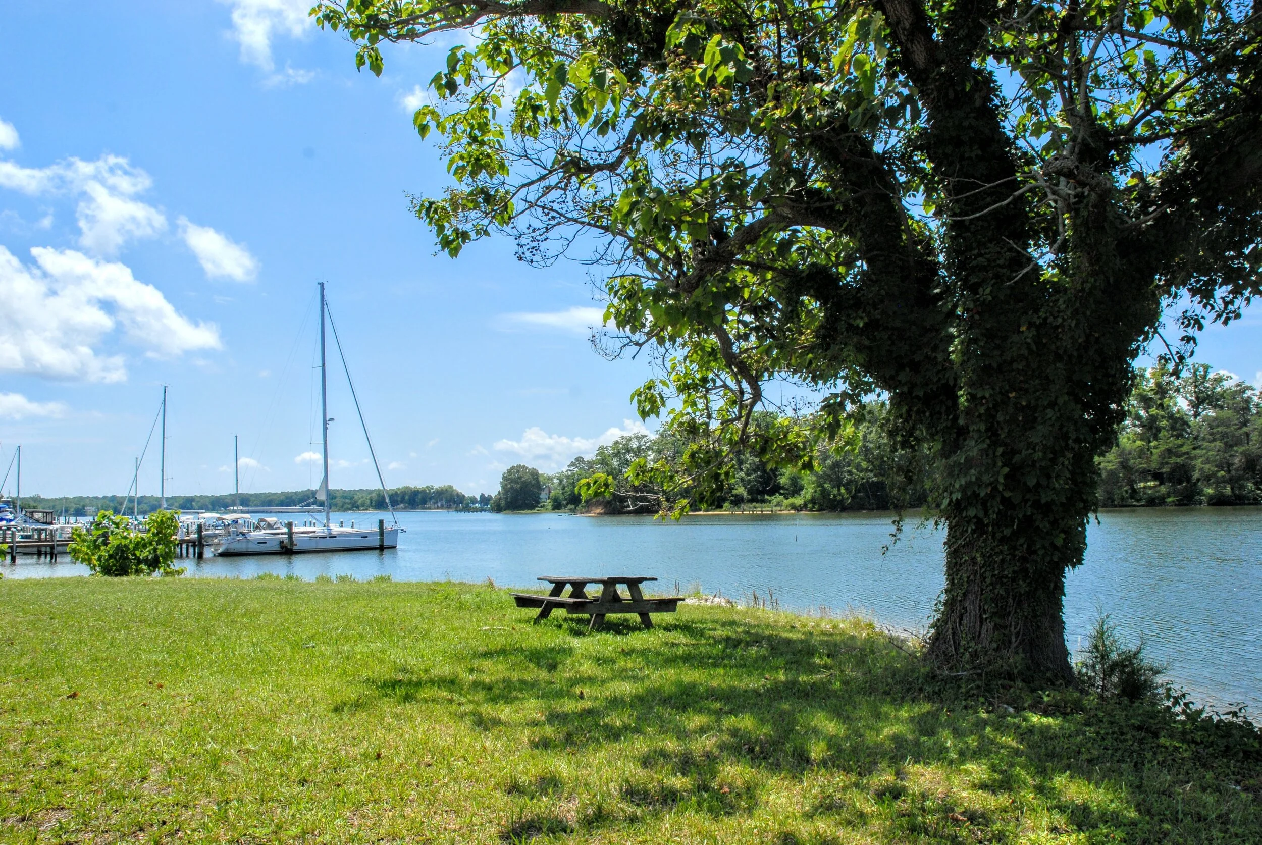 View from Point.jpg
