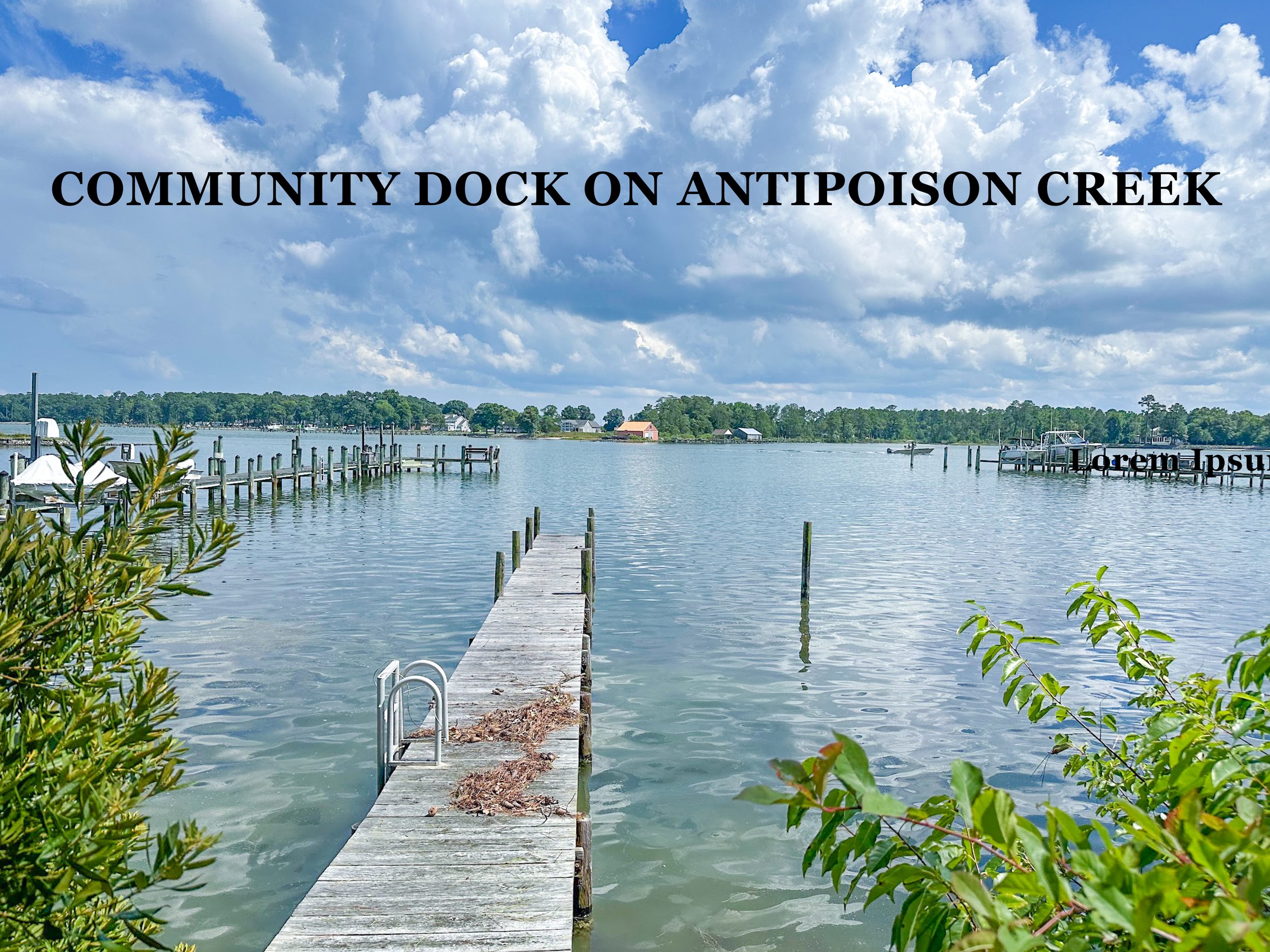 Community Dock.jpg