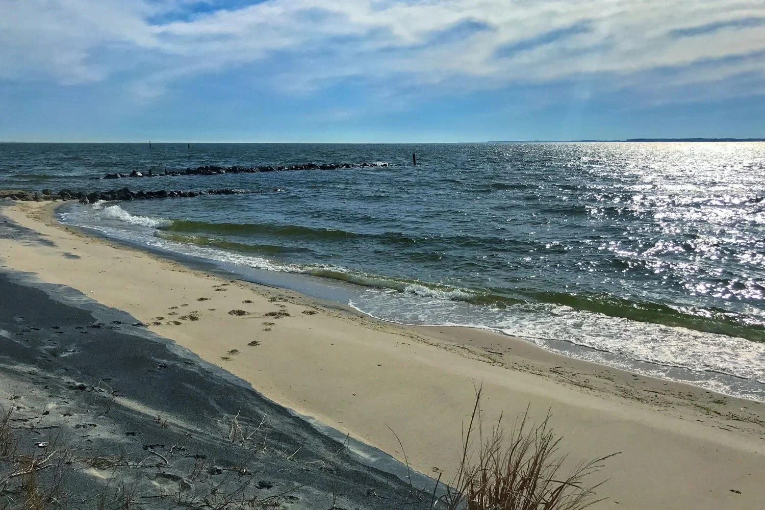 Beach.JPG
