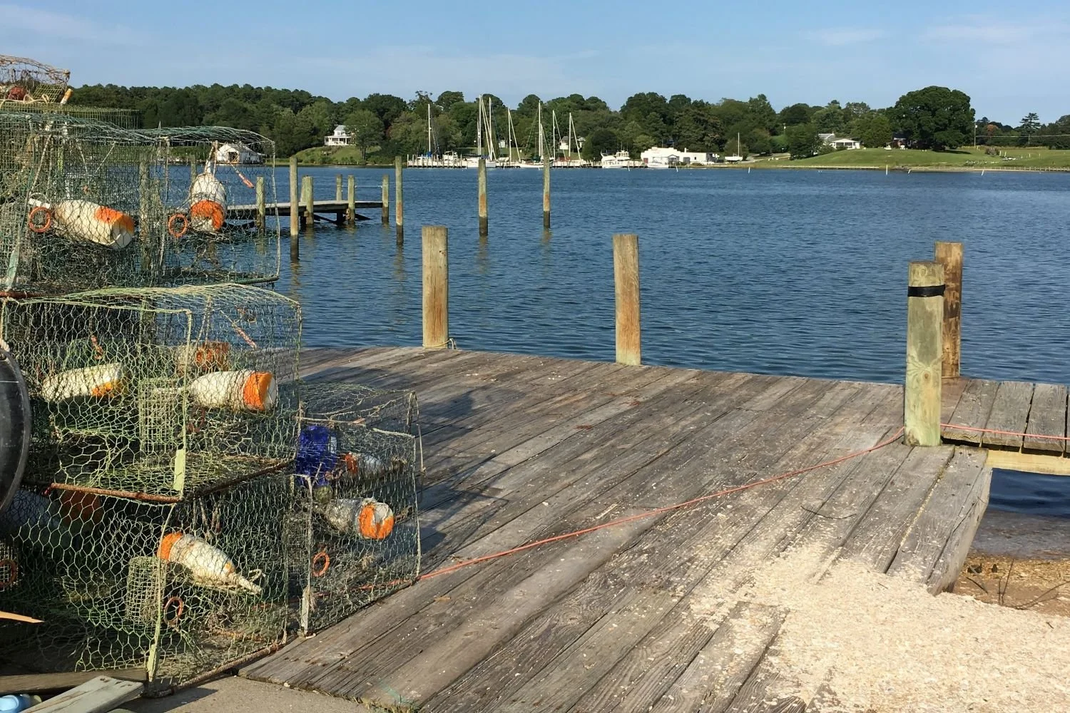 Crabpots on Dock.JPG