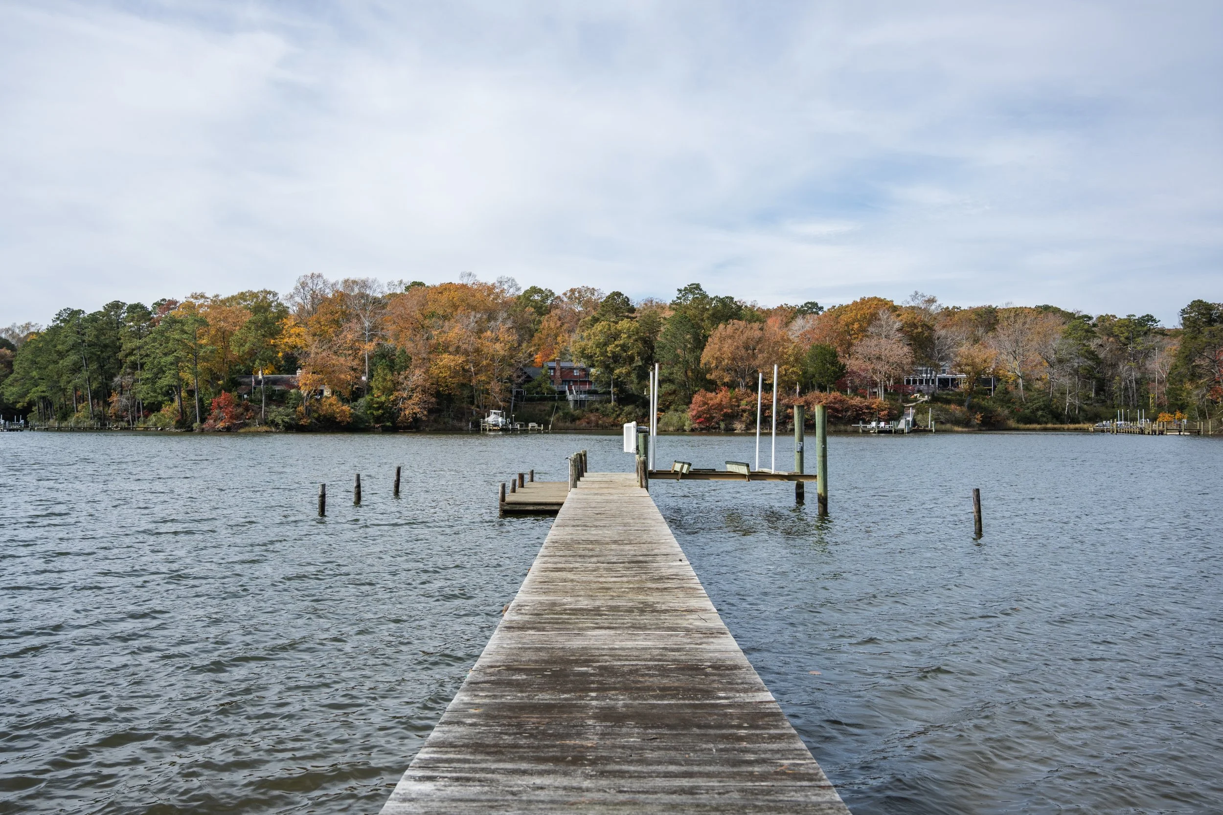 Treetops - Dock B.jpg