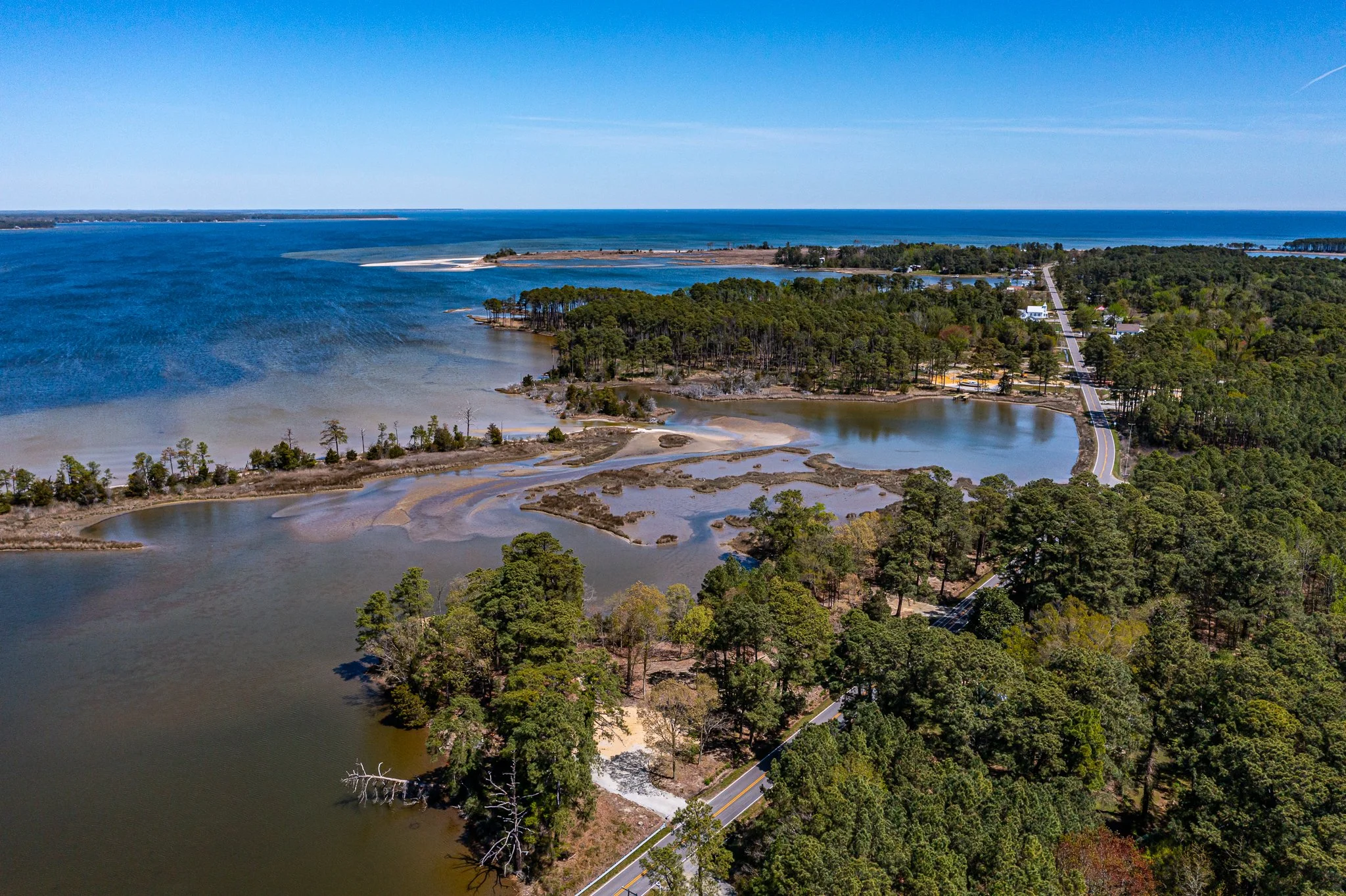 the Cove with Bay .jpg