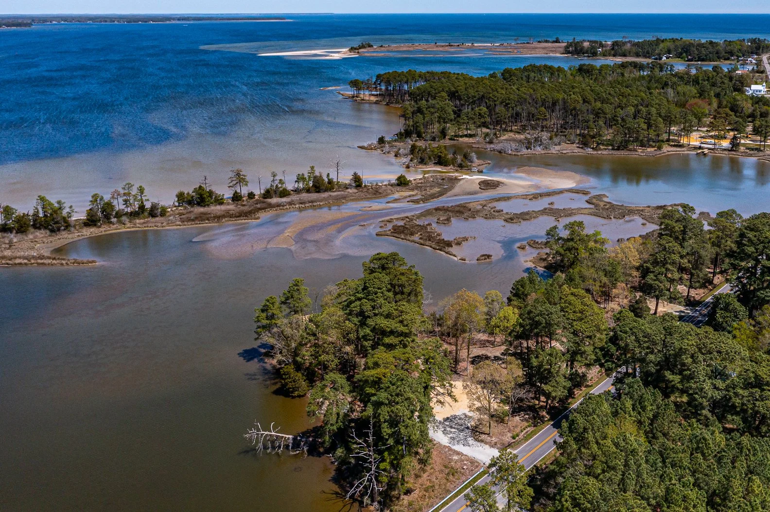 THE COVE ON THE CHESAPEAKE BAY