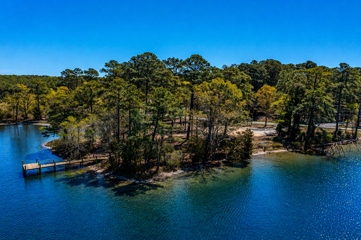 The Cove - Dock Looking East 2.jpg