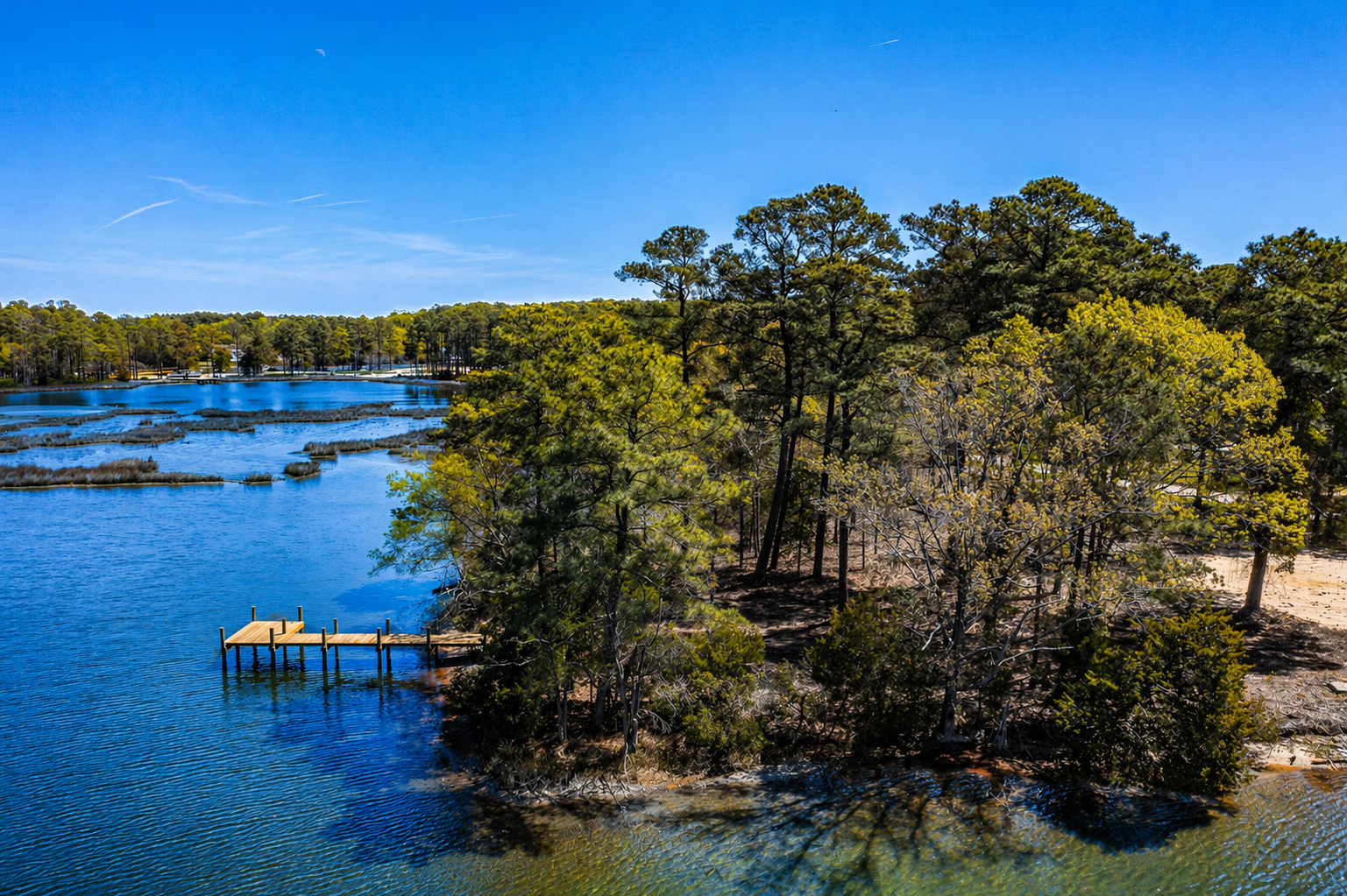 The Cove - Dock Looking East.jpg