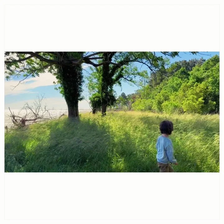 The other day we ventured to the Dameron Marsh Natural Preserve! We took several little hikes that end with beautiful views.The preserve offers small parking area, walking trails, and a boardwalk and wildlife viewing platform overlooking the marsh an