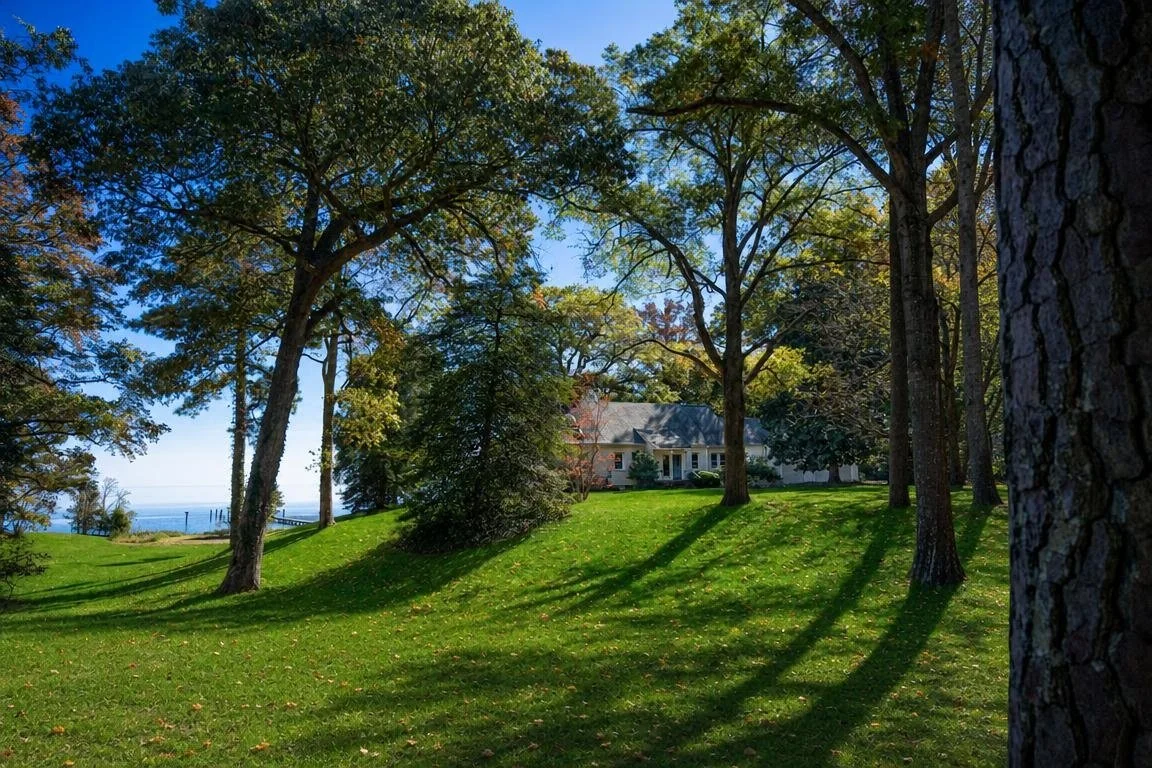 2276 Mosquito Point Rd - Exterior - Lane 2.jpg