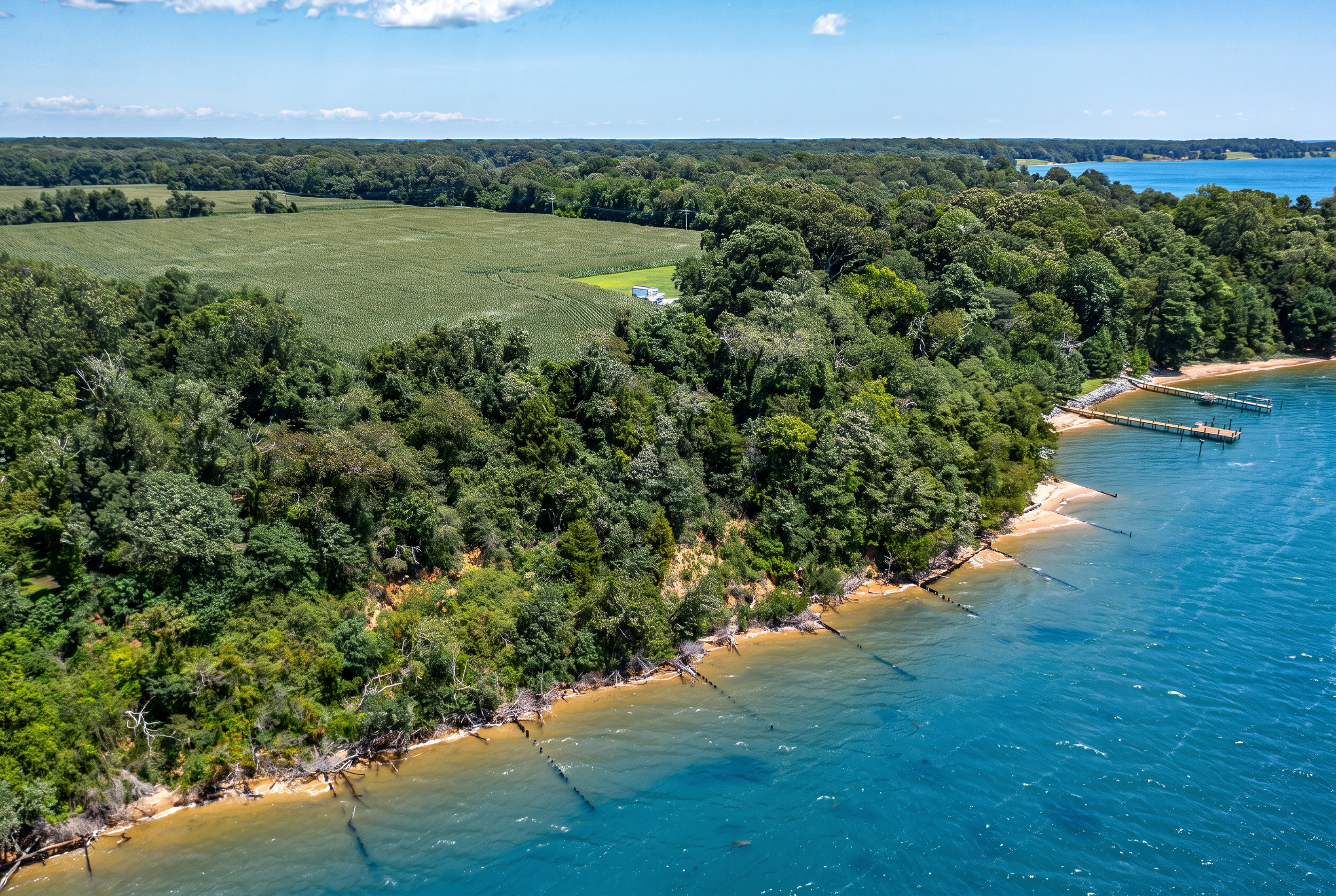 Rappahannock River Parcel - Shoreline with Field 3.png