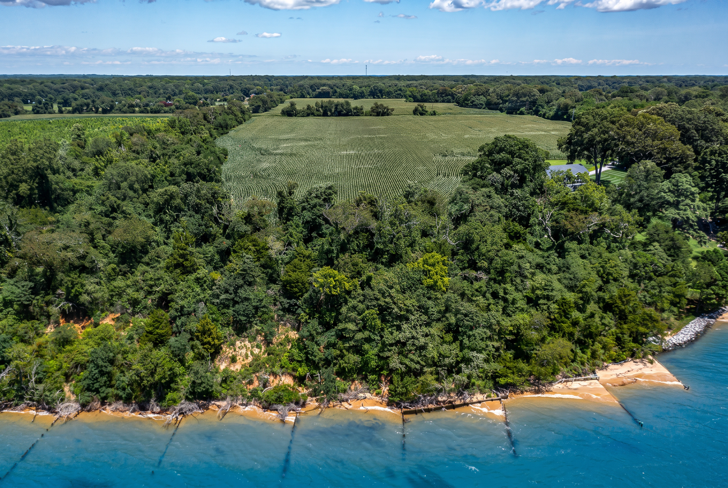 Rappahannock River Parcel - Shoreline with Field 2.png