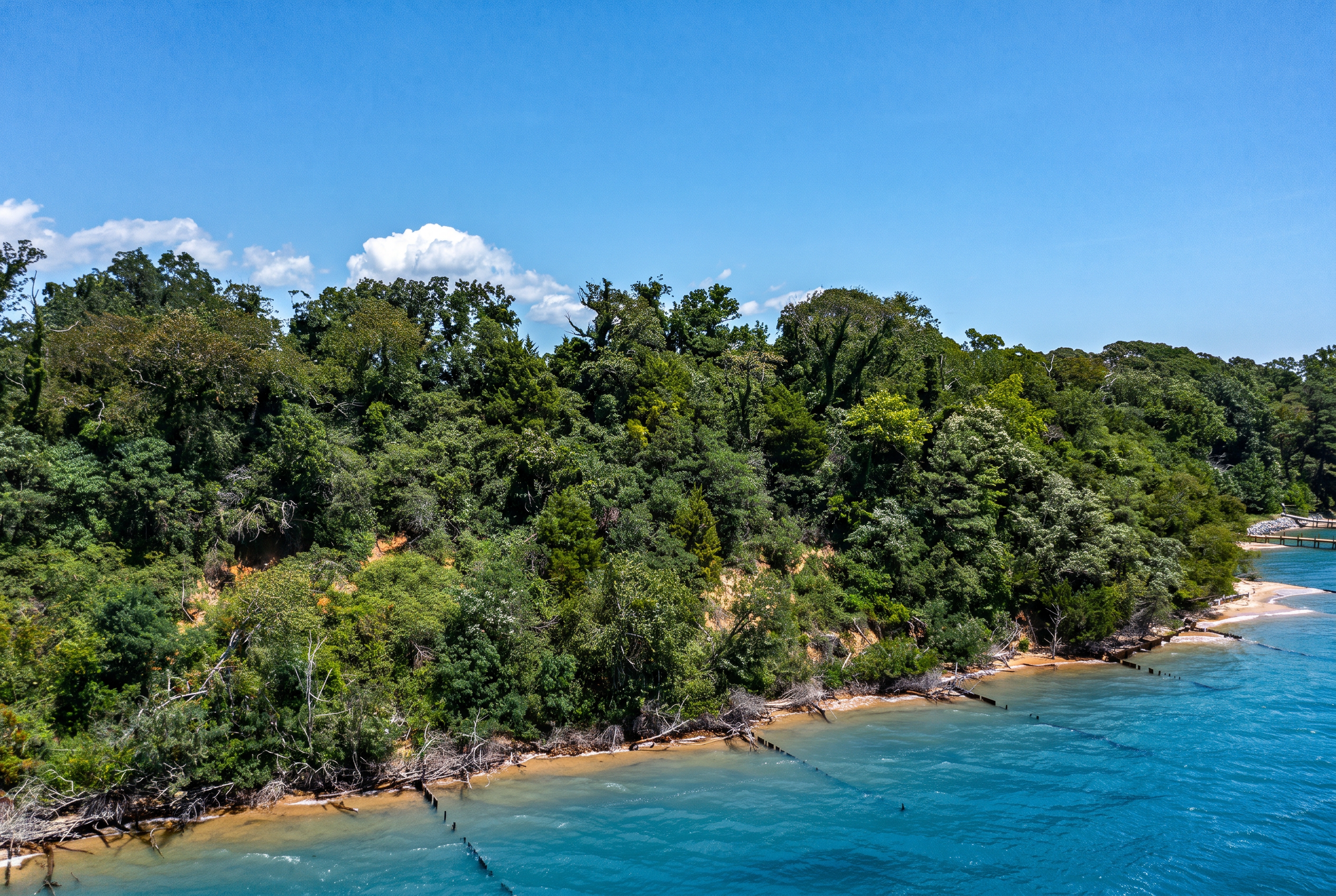 Rappahannock River Parcel - Shoreline 2.png