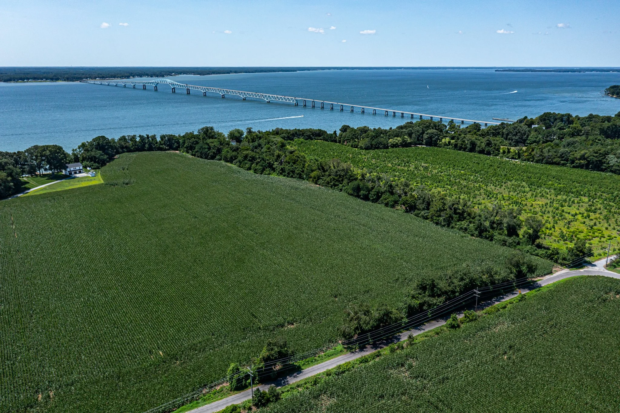 Field with Bridge 2.jpg